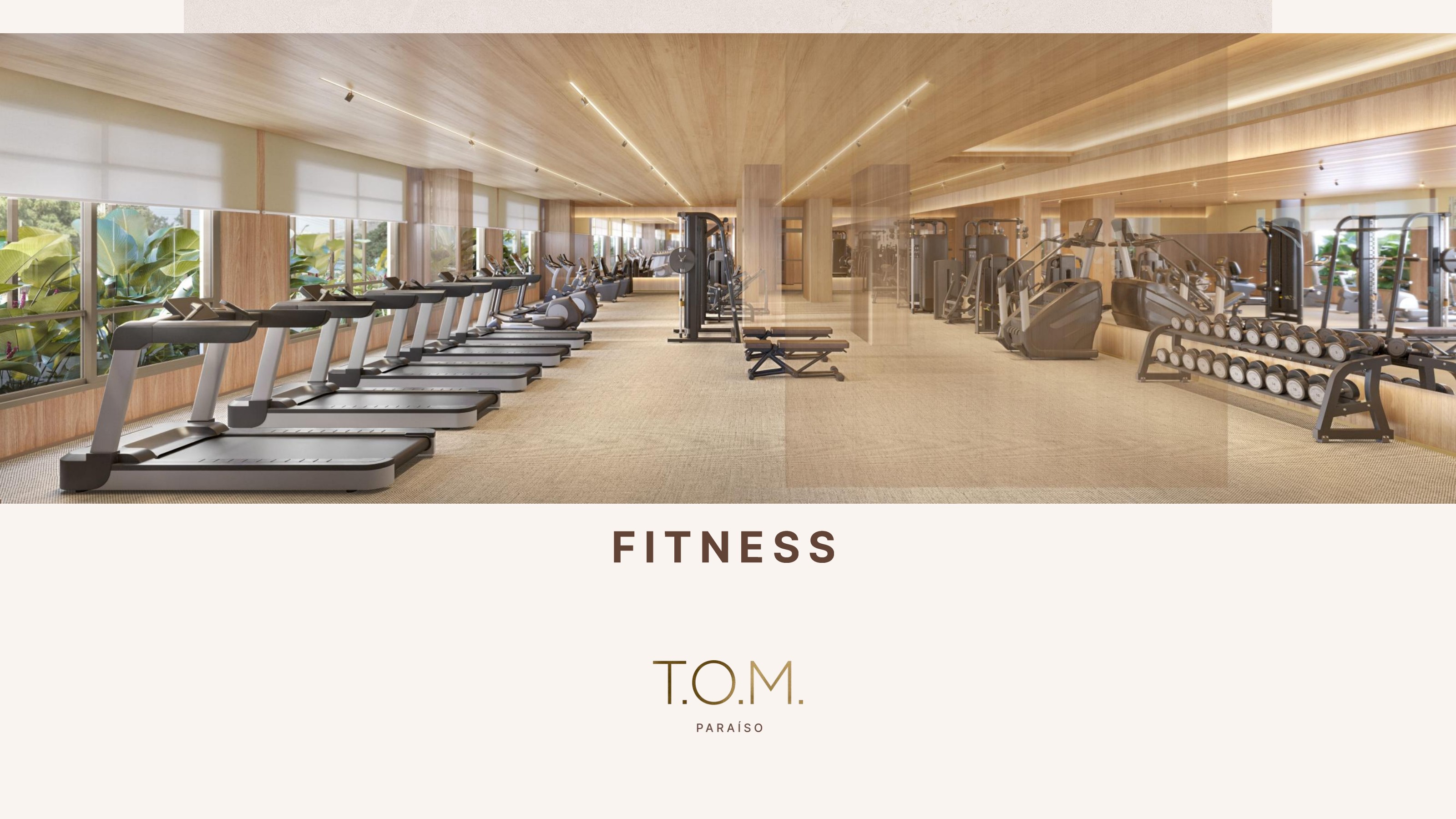 Perspectiva ilustrada do fitness — T.O.M. Paraíso